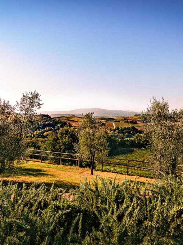 Tavola di Guido